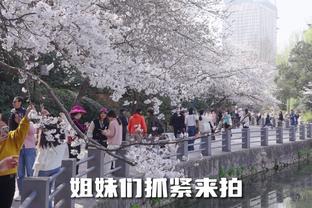 game blossom blast saga online Ảnh chụp màn hình 3